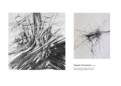 Organic Ornaments_Kohle Zeichnungen_Skizzen