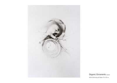 Organic Ornaments_Kohle Zeichnung_Skizze
