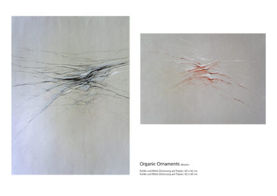Organic Ornaments_Kohle und Rötel_Skizze
