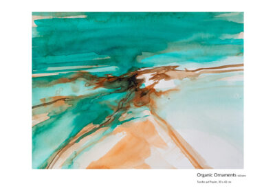Organic Ornaments_Tusche