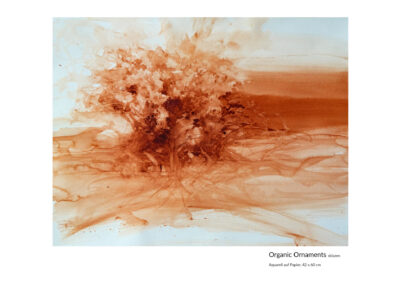 Organic Ornaments_ Aquarell