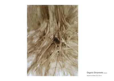 Organic Ornaments_ Aquarell